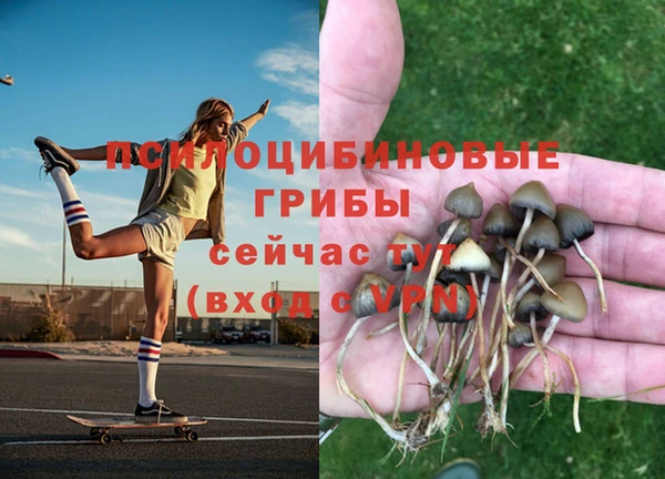 эйфоретик Белоозёрский