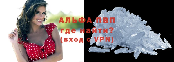PSILOCYBIN Баксан