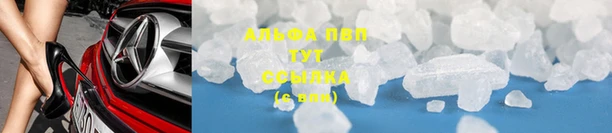 PSILOCYBIN Баксан