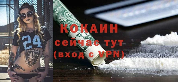 ALPHA PVP Снежинск