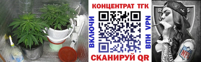 цена   Кохма  Дистиллят ТГК THC oil 