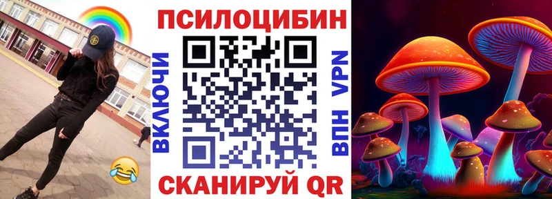 цена   Кохма  Галлюциногенные грибы Psilocybe 